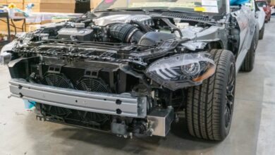 Super Snakes, Oh My! We Checked out Shelby’s Las Vegas Operation