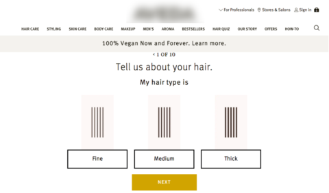 How Aveda Masters Website Personalized Content.