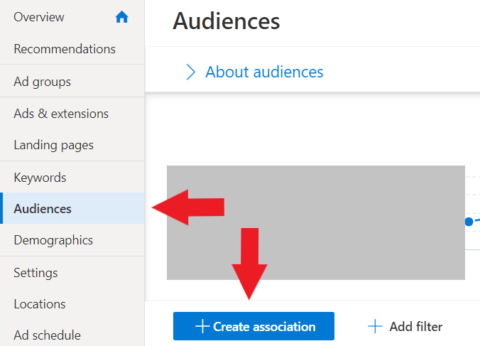 Microsoft ad audience filter