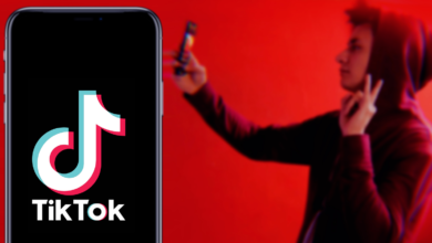 TikTok Launches Search Ads Beta For Selected Partners