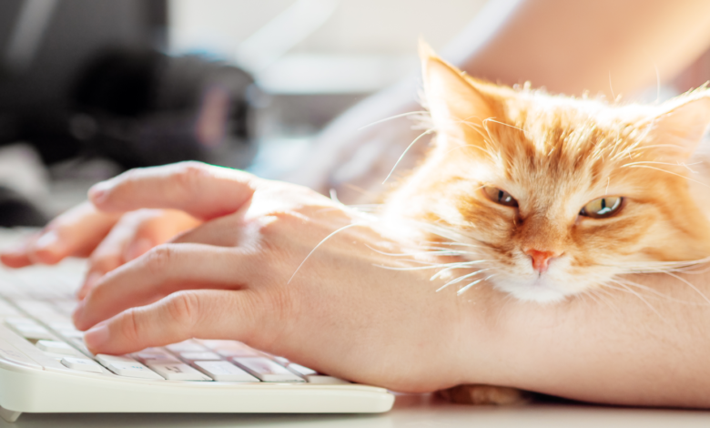 National Pet Day: How Our Fur-Babies Are Changing The Way We Work