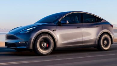 A Cheaper Tesla Model Y Is Exactly What the Company Needs After Rough 2022