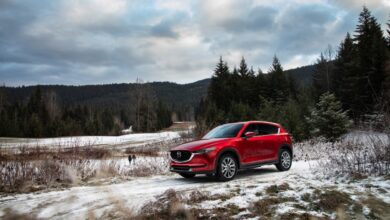 The best used SUVs under $30,000 include the Mazda CX-5