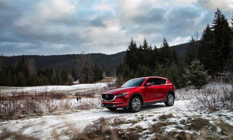 The best used SUVs under $30,000 include the Mazda CX-5