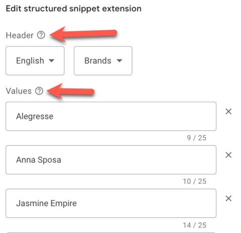 Google Ads structured snippets extensions
