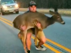 Watch: Driver gets out of car to save frightened deer in the middle of road — viral video!