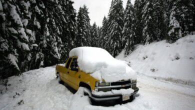 A yellow Chevrolet truck buried under a pile of snowy in front of wintery woods.