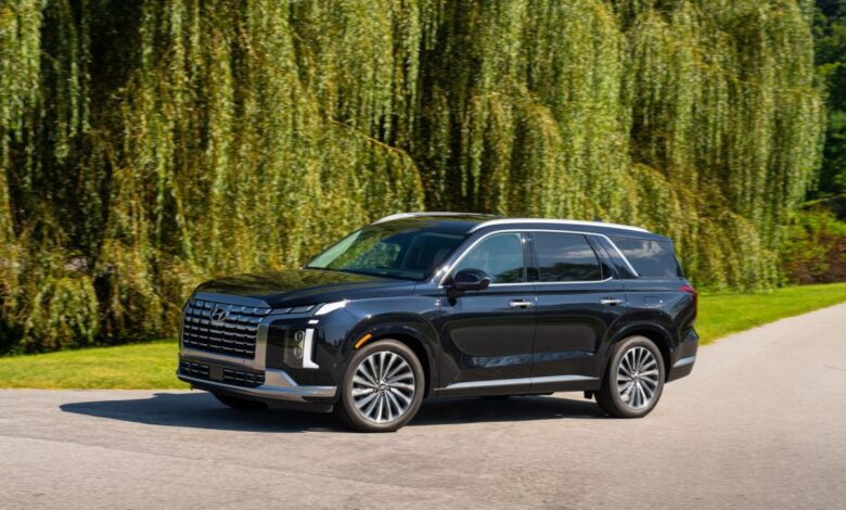 A dark colored 2023 Hyundai Palisade midsize crossover SUV model framed by leafy tree branches