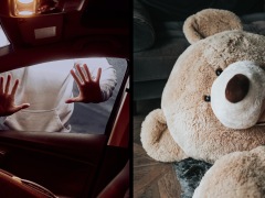 Car thief caught after he was found hiding in a giant bear