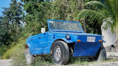 A bright blue Volkswagen Thing off-roader parked in front of a palm tree in Mexico.