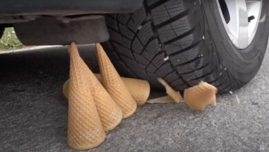 Watch: Car Crushes Many Soft and Crunchy Things — Viral Video!