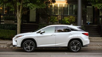 These popular and dependable SUVs include this white Lexus RX