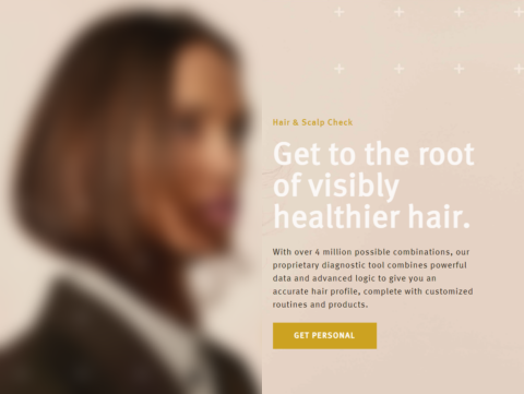 Aveda creates an engaging experience using quizzes and artificial intelligence.