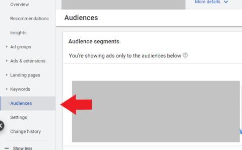 Define audiences from the Google Ads interface