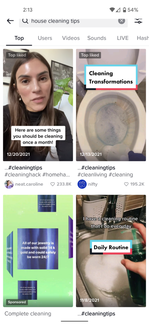 Additional ads are displayed for popular searches on TikTok.