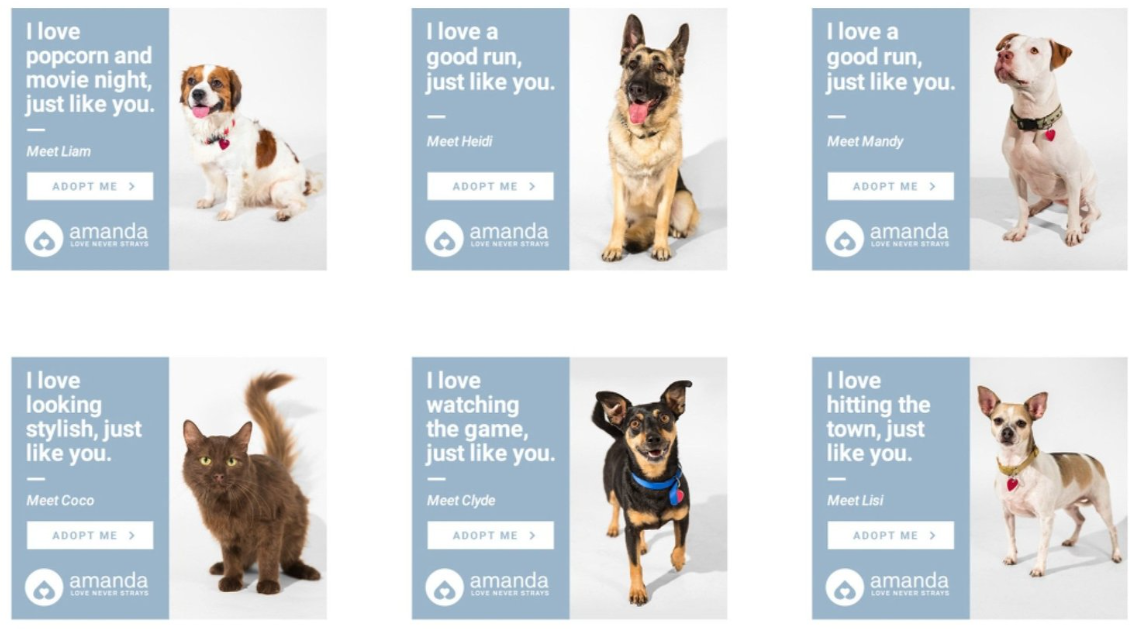 Personalized ads, and different animals featured for individuals