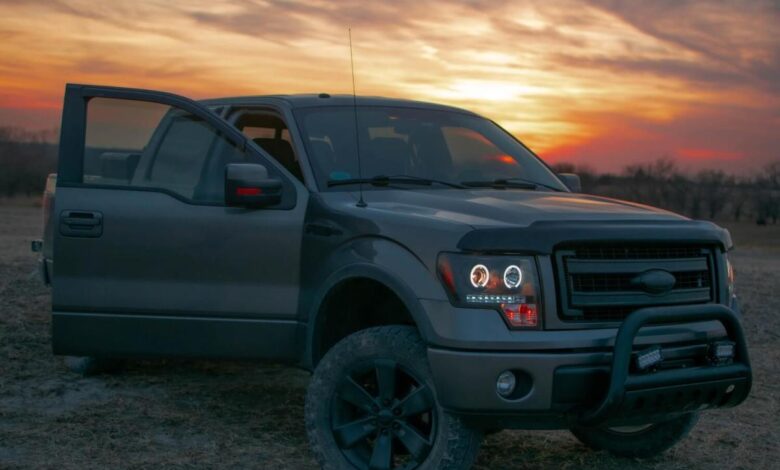 Gray Ford F-150 parked in front of a setting sun with its door open, trees visible in the background.