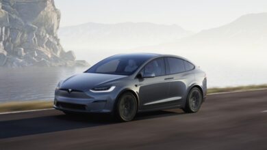 Why Tesla Model Y Fans Will Ride With the Electric SUV ‘Until the Wheels Fall Off’